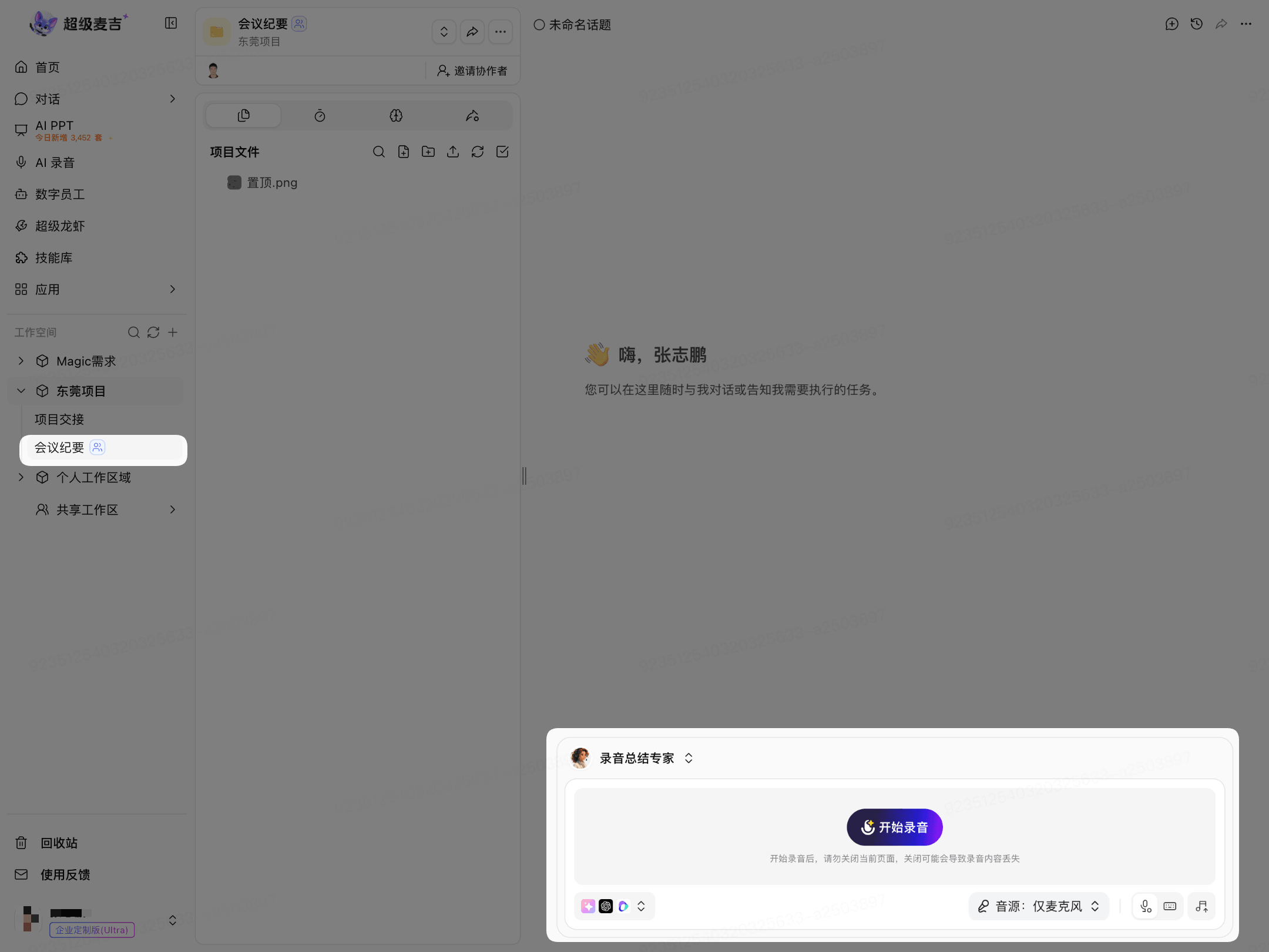 项目内的录音总结专家