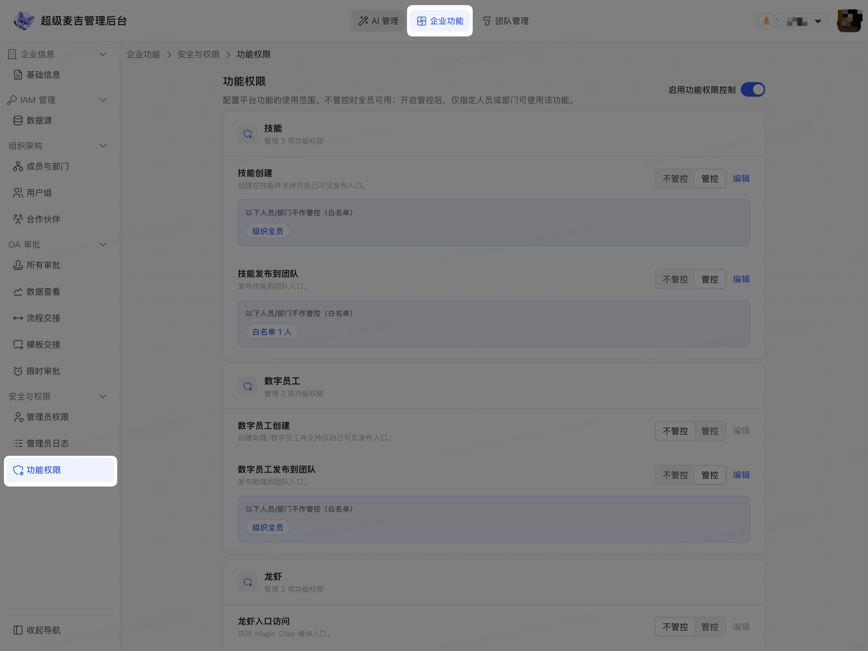 进入功能权限页面