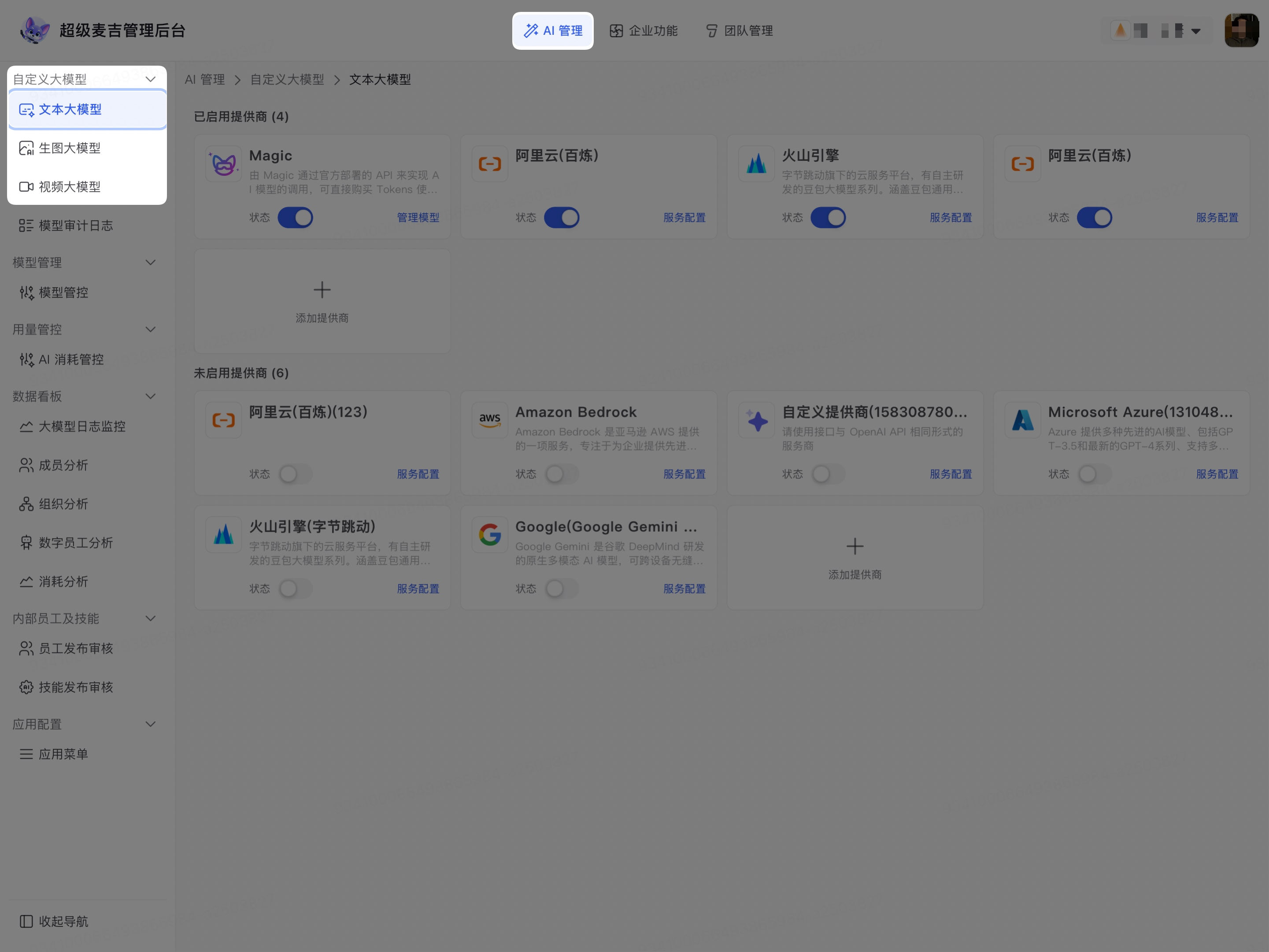 选择需要配置的大模型类型