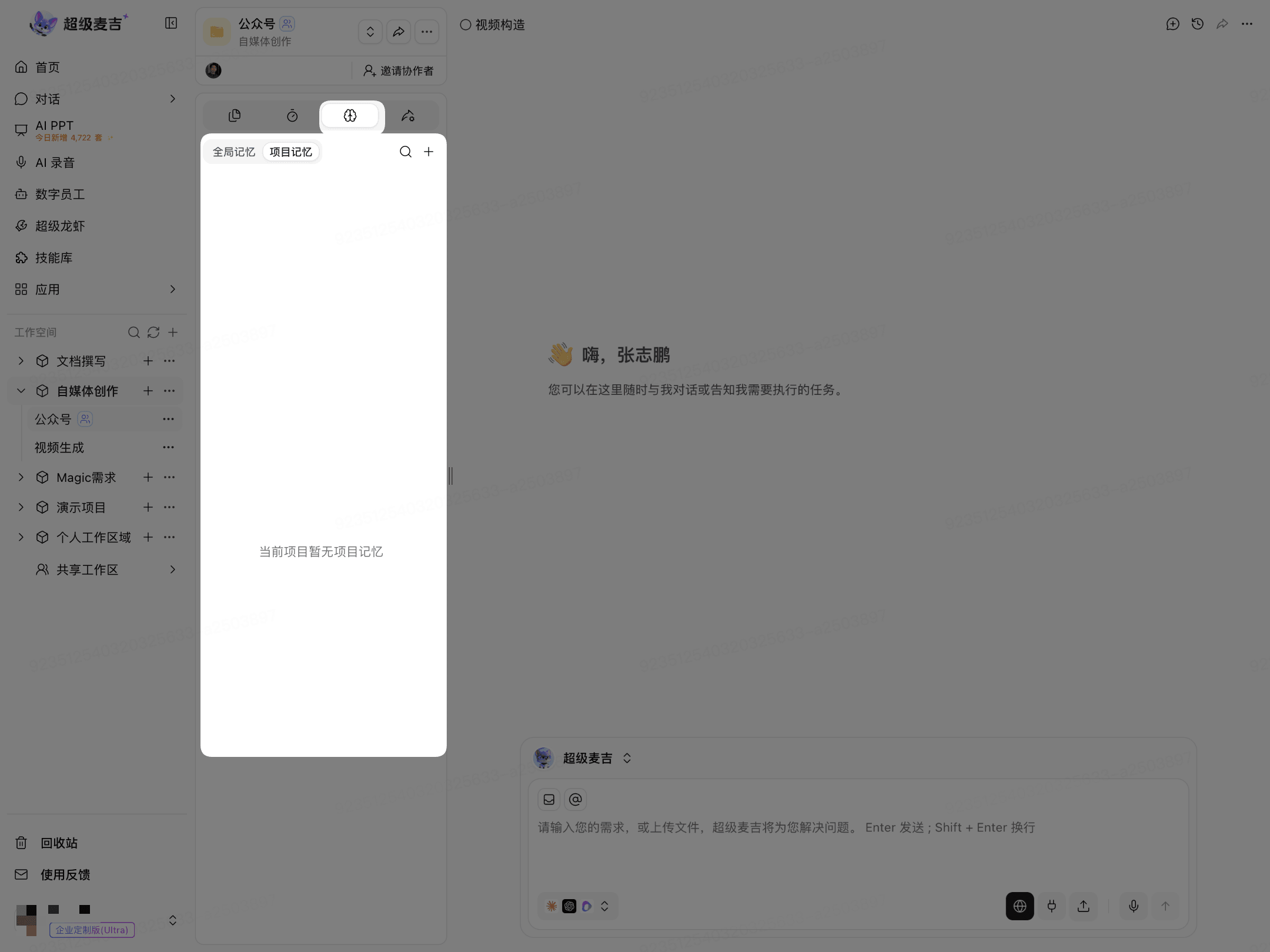 打开项目记忆